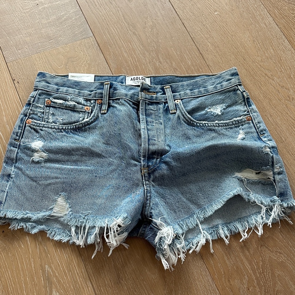 Agolde Parker shorts in swampmeet.